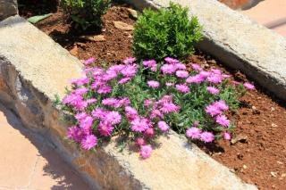 Apartments with parking space Opric, Opatija - 7744 - 3