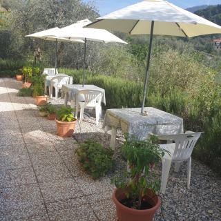 Agriturismo La Collina Verde - Levanto - 2
