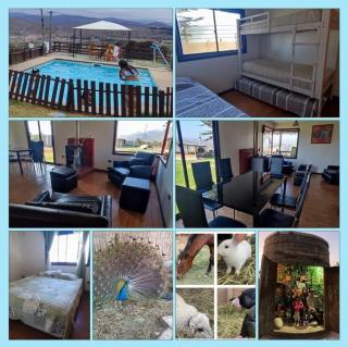 Arriendo de casa 9 personas con piscina - 6