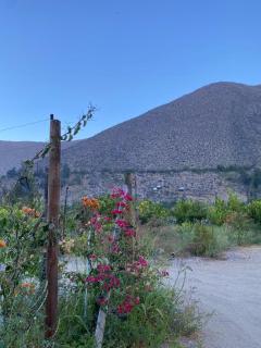 DIAGUITAS, VICUÑA, VALLE DEL ELQUI - Diaguita - 4