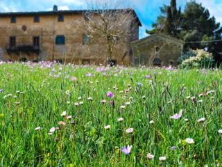 Belvilla by OYO Allodola - Volterra - 6