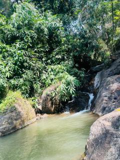 Mount court munnar - Munnar - 2