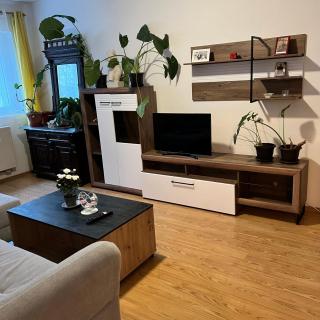 Lena’s home - Sibiu - 7