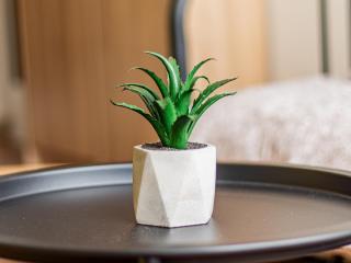 Nevsky Loft - Central Sofia Studio - 4