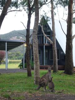 The A-Frame - Halls Gap - 9