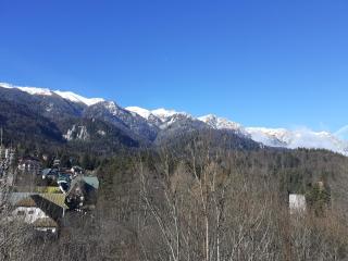 Apartament Mona - Sinaia - 4