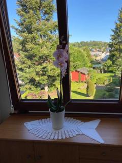 Ferienwohnung Aussicht - Wehr - 6