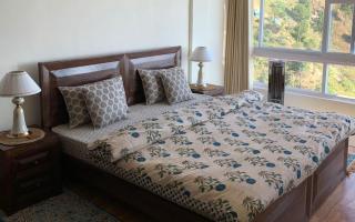 Vilasa by StayApart x Merlot Pines - Kasauli - 8