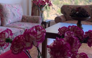 Vilasa by StayApart x Merlot Pines - Kasauli - 1