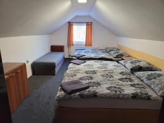 Penzion Karolína - Lučany nad Nisou - 9