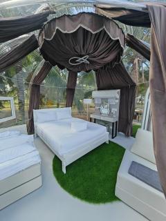 The Coco Journey - Eco Dome - 4