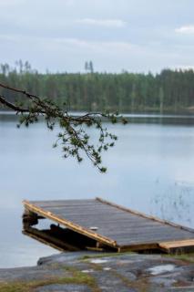 Ihana järvenranta mökki. Cottage by the lake. - Kurjalanranta - 8