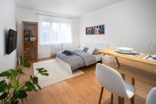 Best Location Apartment AIR-CONDITIONED - Bratislava - 9