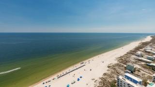 Phoenix Gulf Towers 2602 condo - Gulf Shores - 3