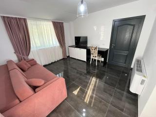 Pensiunea PHILIA - Dubova - 2