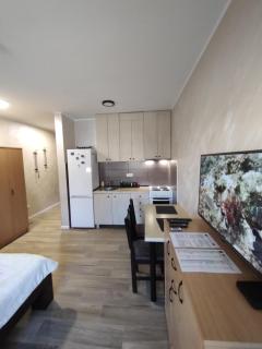 Left Coast studio apartment - Belgrade - 9