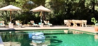 Pine tree Finca Espiga - Cala d´Or - 4