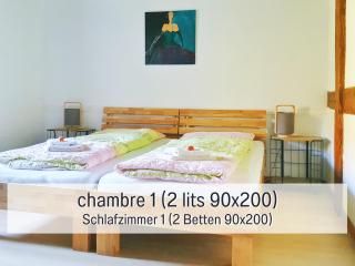 Chez Louna - Grand Gîte - Aumontzey - 2