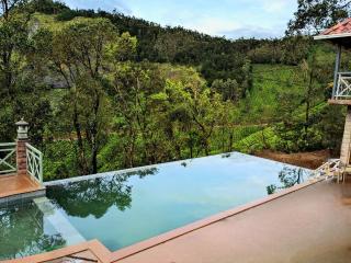 The Planet Munnar - Suryanelli - 9