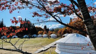 mini mongolia campsite - Vacation STAY 42129v - 3