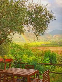 Casa dell'uliveto - 2