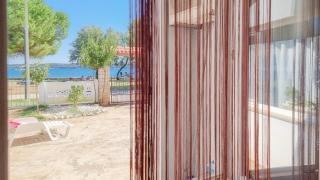 Pintar 1 - Novigrad - 0