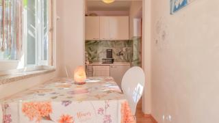 Pintar 1 - Novigrad - 6