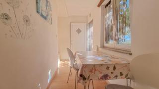 Pintar 1 - Novigrad - 1