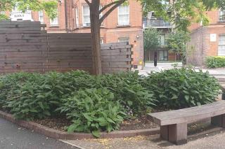 Central 1 BR Apartment *Zone 1* Elephant and Castle - Londra - 7