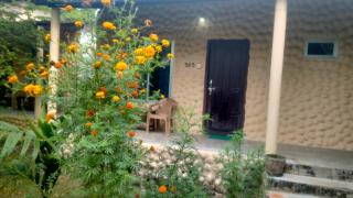 Hotel Tiger Tops Sauraha - Sauraha - 2