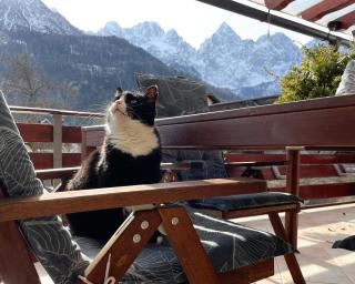 Apartma Felix - Kranjska Gora - 2