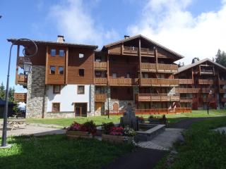 les 7 laux immobilier chalet A - Prapoutel - 8