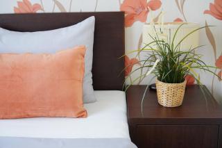 Elegant & Stylish Center Apartments! - 6