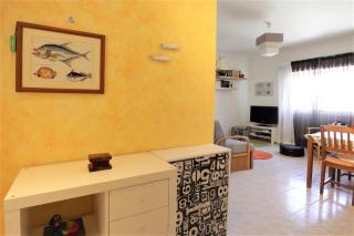 Apartamento Palmeira Gale - Beach - Pool - BY BEDZY - 3