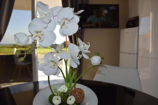 MERSINERA Paradise Garden 2 - Larnaca - 9