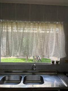Ambiente acolhedor com jardim para pets - Matinhos - 2