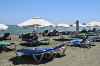 MERSINERA Paradise Garden NOAH HOUSE - Kivisil - 4