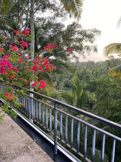 Umah Saren Homestay - Undisan - 6