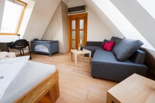 Apartmán ve vile - Ostrava - 8