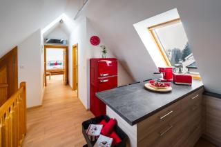 Apartmán ve vile - Ostrava - 2