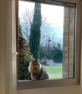 B&B Beauty House - 7