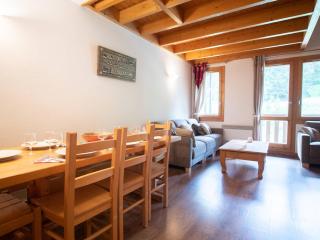 Duplex 5 pièces avec balcon, animaux acceptés, skis aux pieds - FR-1-291-732 - 1