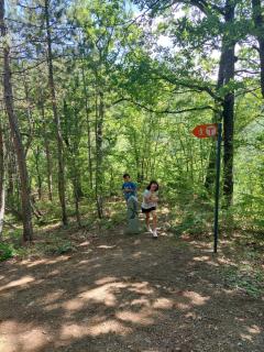 Căsuța de la luncă - 7