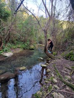 Alojamientos Sierra de Cádiz Benamahoma - 8