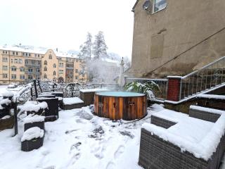 UO - Urlaubsmagie - helle Wohnung,Sauna,Whirlpool - Sebnitz - 9