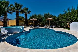 XENOS VILLA 2 with a private pool,near the sea - 3