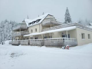 Résidence du Lac Blanc appartement chez Jérémy - Orbey - 0