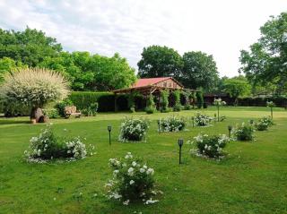 Le Ranch Amadeus - Saint-Paul-en-Born - 5