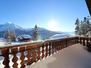 Appartement spacieux, terrasse plein sud, proche pistes et commerces - FR-1-398-508 - La Rosière - 5