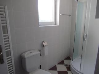 Luksuzni Apartmani Mitić-Lavanda - Soko Banja - 3